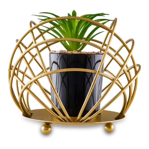 Ceramic Black Plant Pot in Gilded Bowl