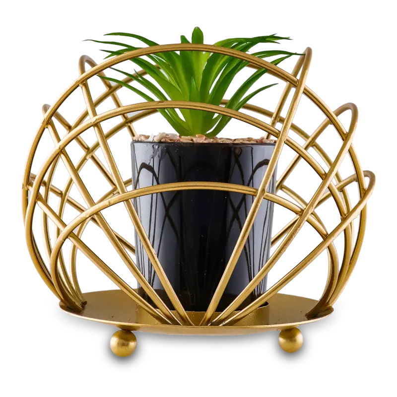 Ceramic Black Plant Pot in Gilded Bowl