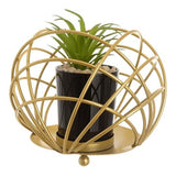 Ceramic Black Plant Pot in Gilded Bowl