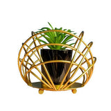 Ceramic Black Plant Pot in Gilded Bowl