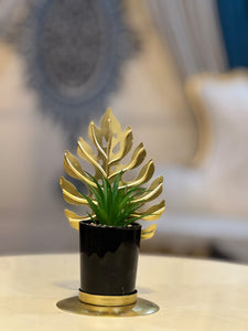 Golden Feather Leaf Plant Decor