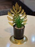 Golden Feather Leaf Plant Decor