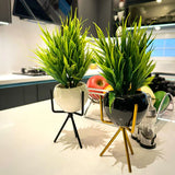 Luxury Ceramic Planters with Metal Stands