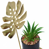 Golden Feather Leaf Plant Decor