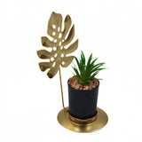 Golden Feather Leaf Plant Decor